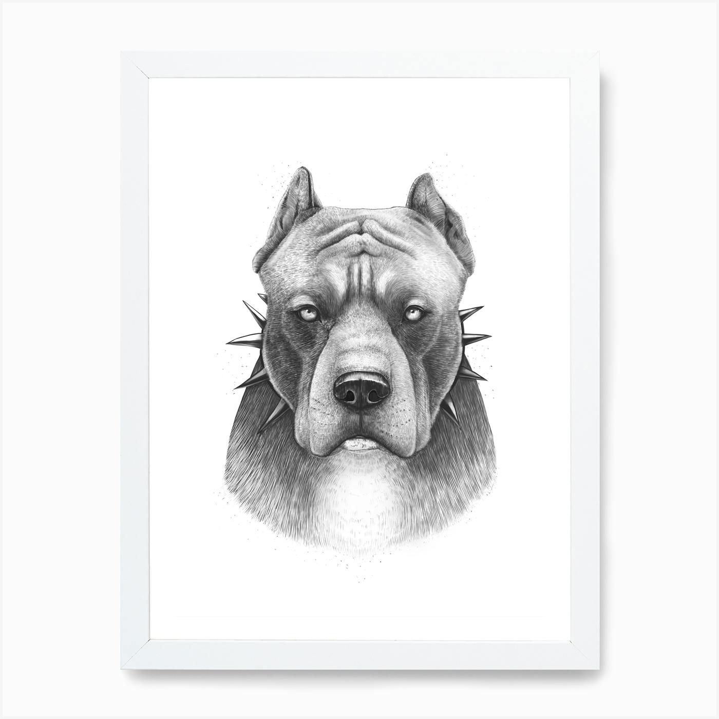 A1 Blue American Pit Bull Terrier Poster Art Print 60 x 90cm 180gsm Gift #15535